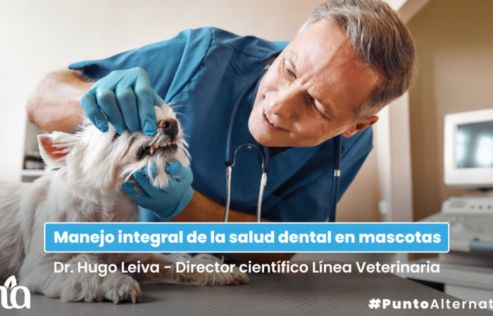 trabaja con nosotros