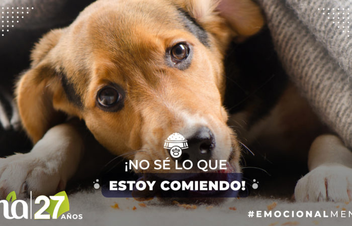 Conoce nuestros blogs